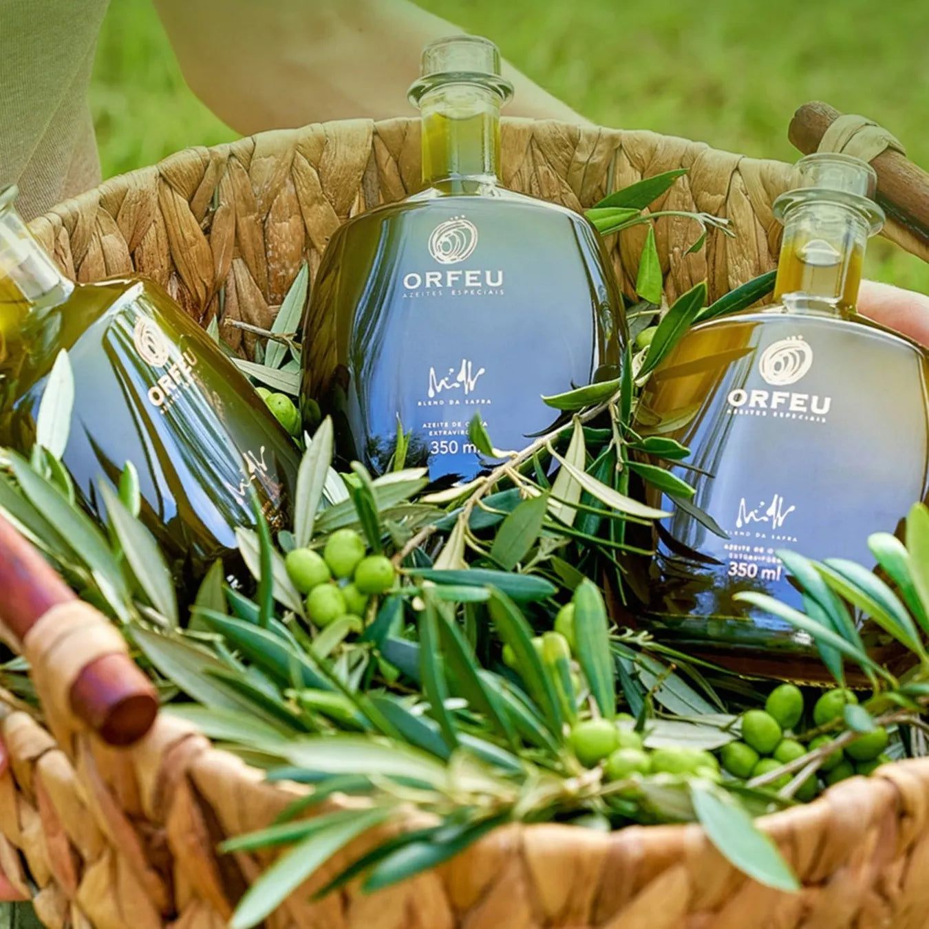 AS DIFERENÇAS ENTRE OS AZEITES BLEND E VARIETAIS
