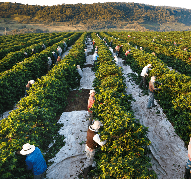 CERTIFICAÇÕES FAZENDA