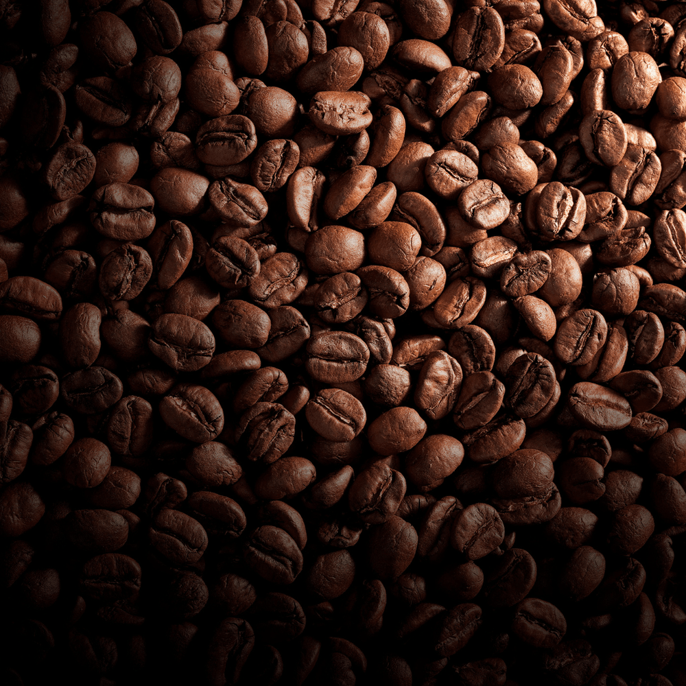 QUAIS SÃO AS CATEGORIAS DE CAFÉS?