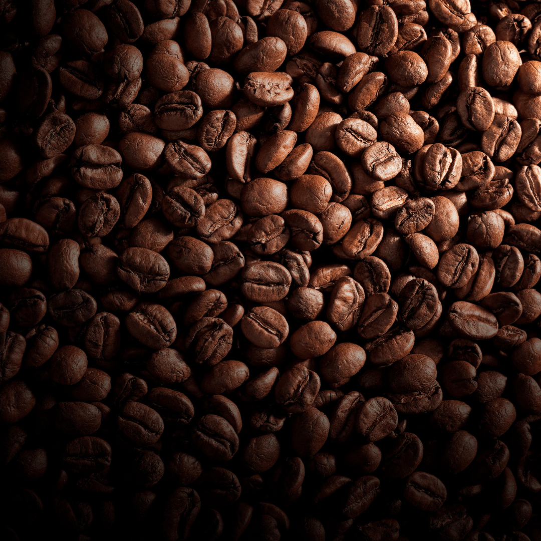 QUAIS SÃO AS CATEGORIAS DE CAFÉS?